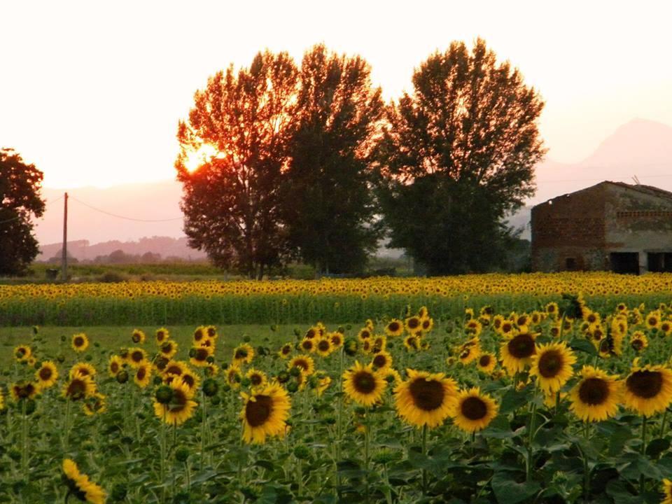 Agriturismo Settepassi Tuscany Ponte Buggianese 외부 사진